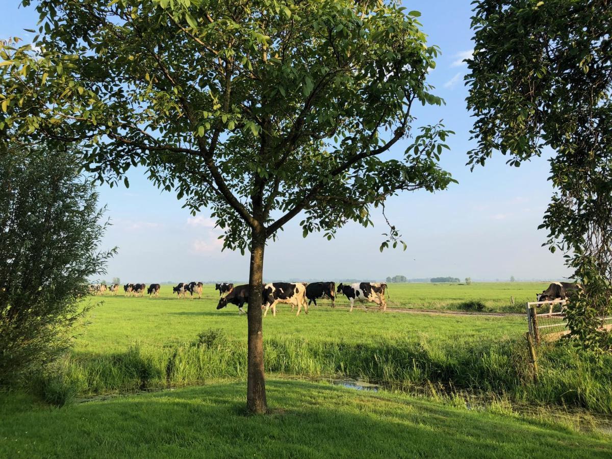 Bed and Breakfast Slapen Op Het Platteland à Bodegraven Extérieur photo